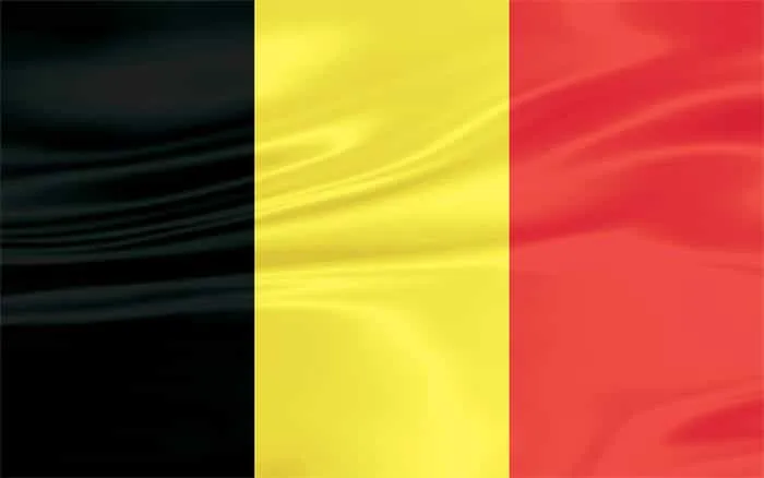 Belgique : Limburg s’offre un game 5 décisif